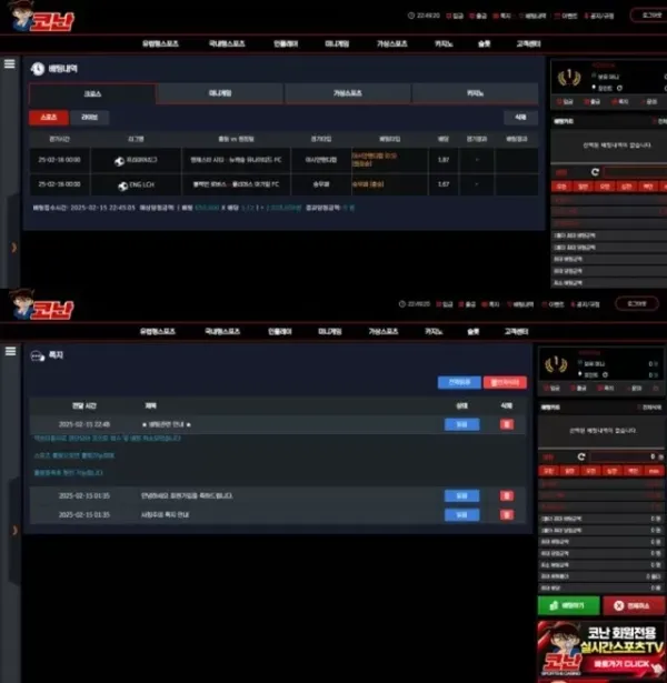 코난 먹튀사이트