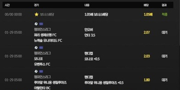 라이언 먹튀 확정