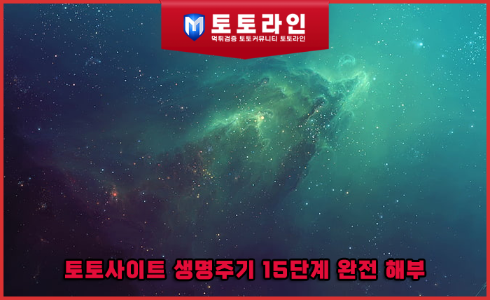 토토사이트 생명주기 15단계 완전 해부