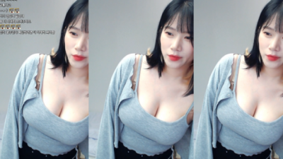 일상복 입고 방송하는게 더 반응 좋은 여캠