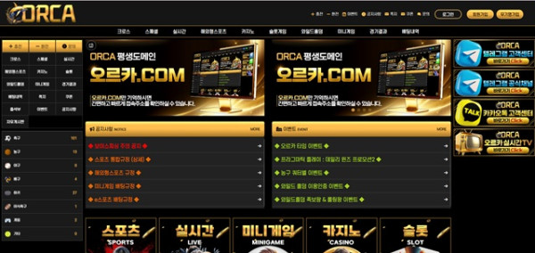 오르카 먹튀 확정