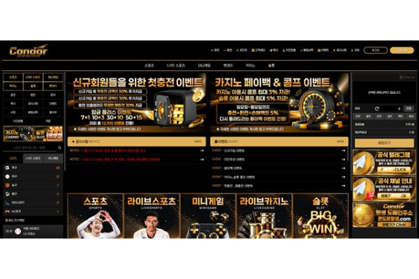 콘도르 먹튀 확정