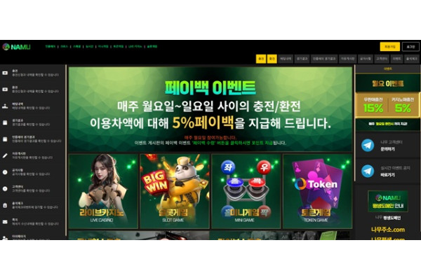 나무 먹튀 확정