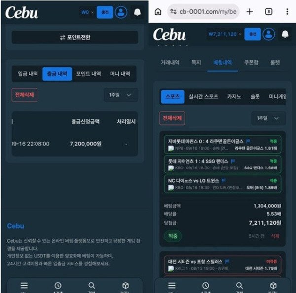 먹튀증거