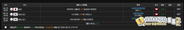 먹튀증거