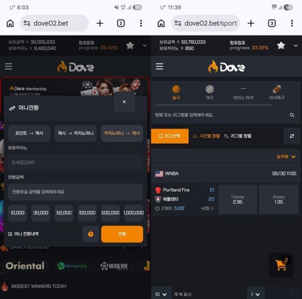먹튀증거