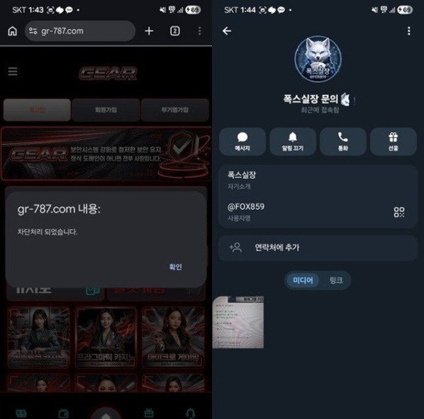 먹튀증거