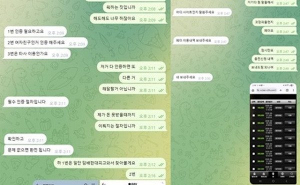 먹튀증거