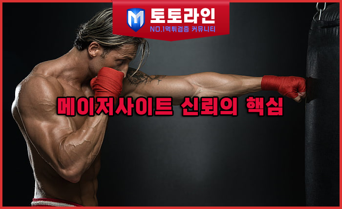 토토라인 리서치팀 먹튀검증 데이터 리포트
