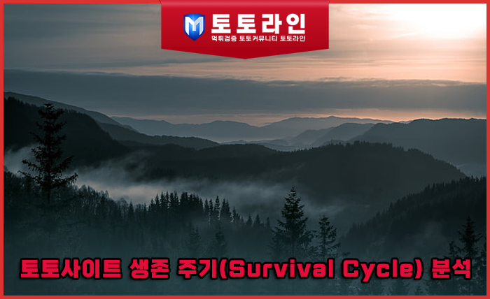 토토사이트 생존 주기(Survival Cycle) 분석