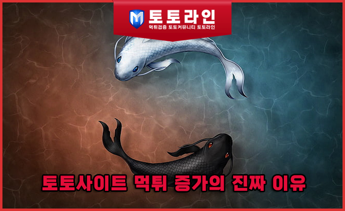 토토사이트 먹튀 증가의 진짜 이유