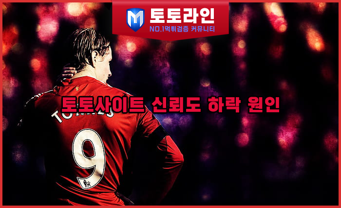 토토라인 리서치팀 토토사이트 신뢰도 평가 자료