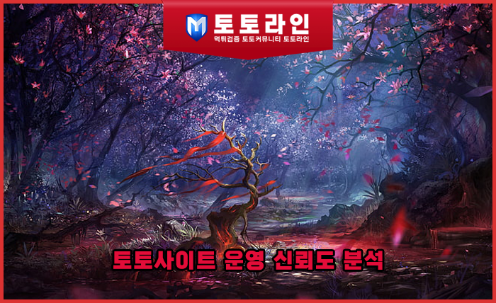 토토사이트 운영 신뢰도 분석