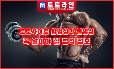 토토사이트 합법성과 불법성: 꼭 알아야 할 법적 정보