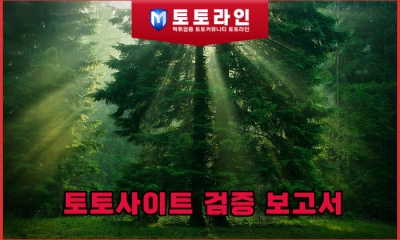토토사이트 검증 보고서: 안전놀이터 판별을 위한 7가지 핵심 지표와 메이저사이트의 운영 메커니즘 심층 분석