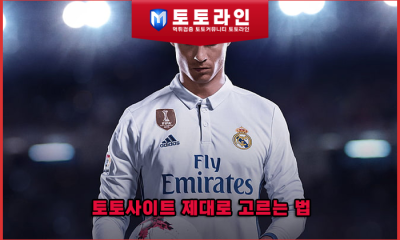 토토사이트 제대로 고르는 법 — 리서치팀이 알려주는 기준 7가지