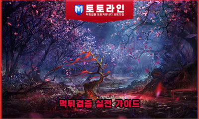 먹튀검증 실전 가이드 — 데이터로 확인하는 안전놀이터 기준