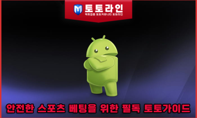 안전한 스포츠 배팅을 위한 필독 토토가이드: 메이저사이트 판별과 정밀 검증 수칙